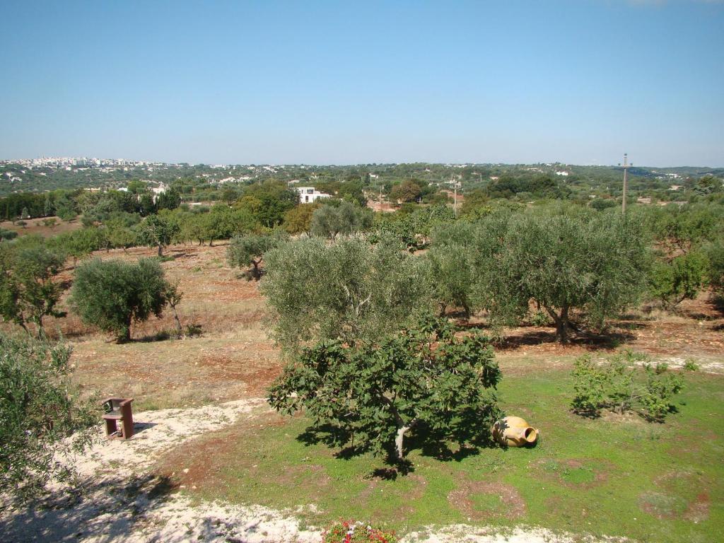 La Piccola Masseria